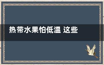 热带水果怕低温 这些食物切勿放进冰箱,耐寒热带水果